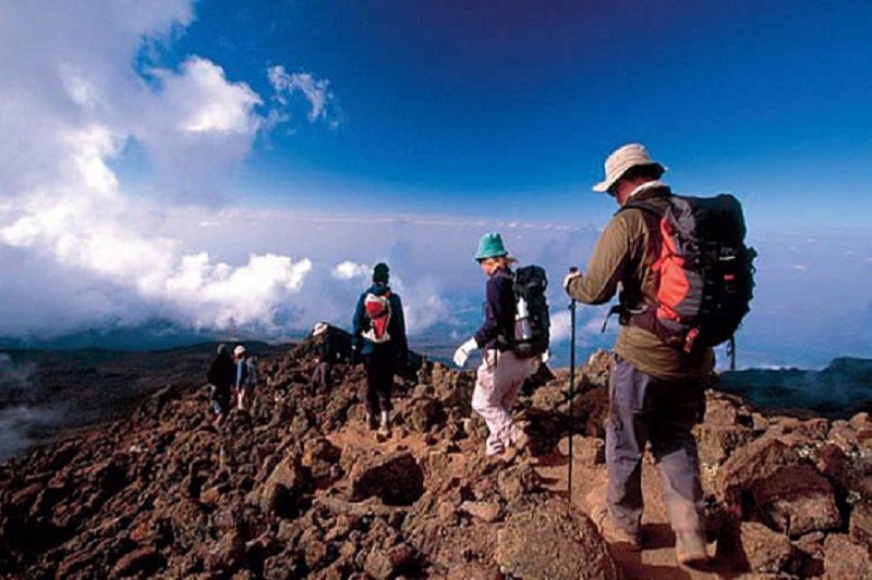 8-days-kilimanjaro-trek-lemosho-route